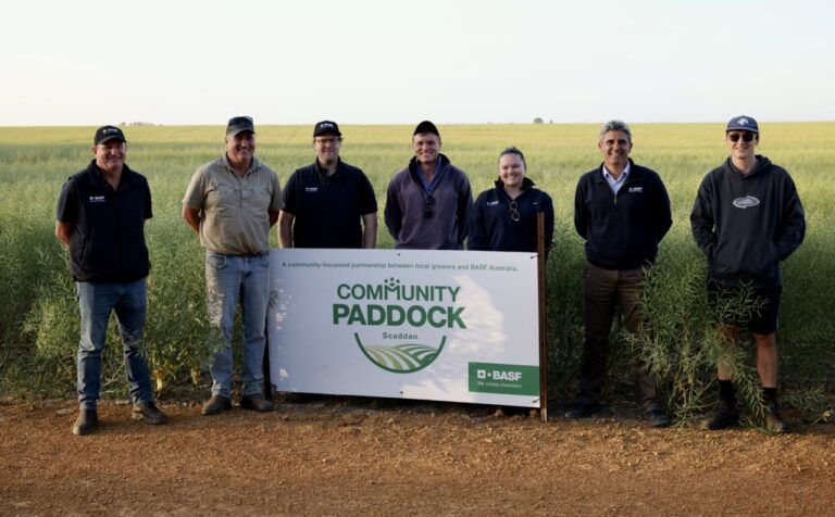 BASF Scaddan, WA Community Paddock Large