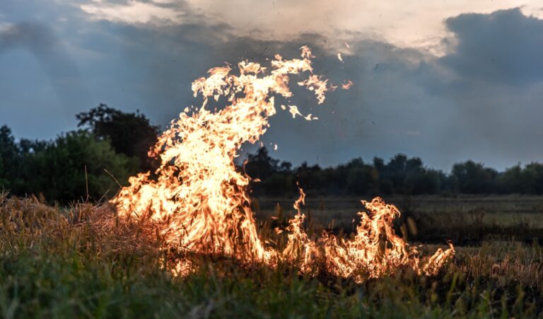 A fire burns in a field with dry grass